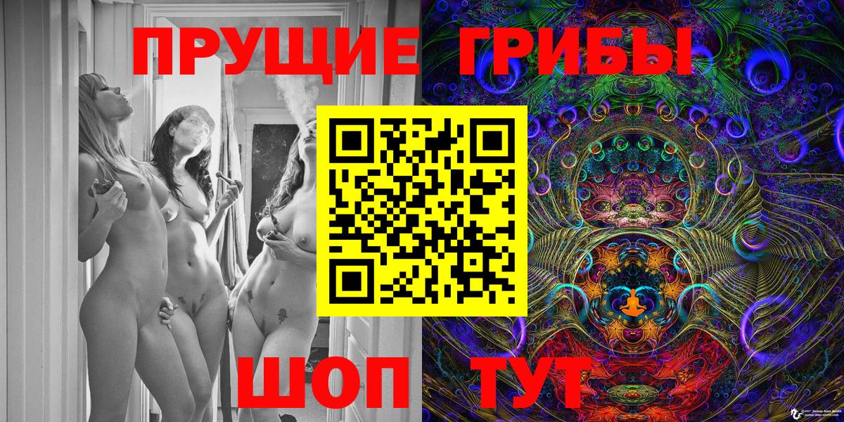 Галлюциногенные грибы Psilocybe Энгельс