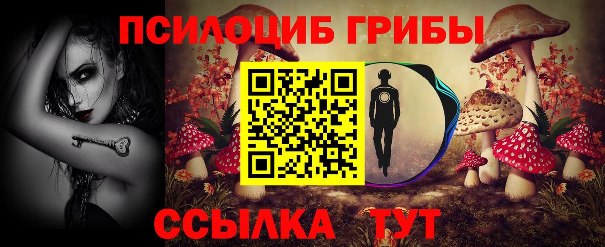 где найти   Псилоцибиновые грибы Psilocybe  Вход с VPN  Псилоцибиновые грибы прущие грибы  Энгельс 